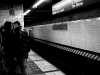 Life in the Nooks and Crannies