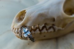 1_LilyEngagement10012017_0010