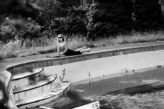 PennHills-152