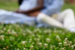 Philadelphia Bartram's  Garden Maternity photography