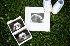 Philadelphia Bartram's  Garden Maternity photography