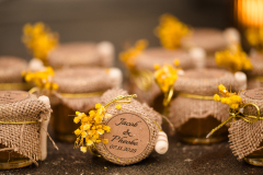 PheobeJaco.Terrain.Wedding-1047