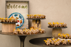 PheobeJaco.Terrain.Wedding-1048