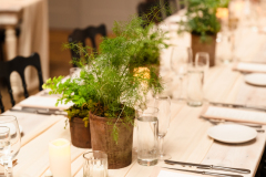 PheobeJaco.Terrain.Wedding-413