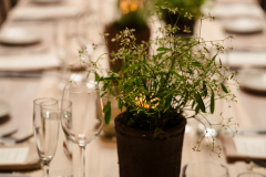 PheobeJaco.Terrain.Wedding-419