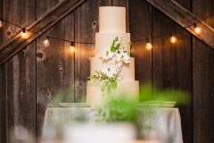 PheobeJaco.Terrain.Wedding-436