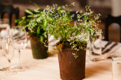 PheobeJaco.Terrain.Wedding-453