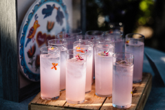 PheobeJaco.Terrain.Wedding-478