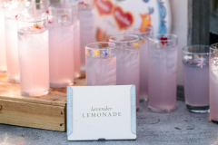 PheobeJaco.Terrain.Wedding-480