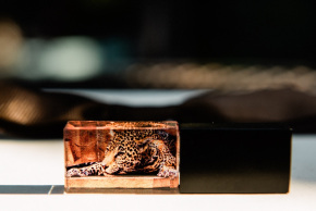 Jaguar-1